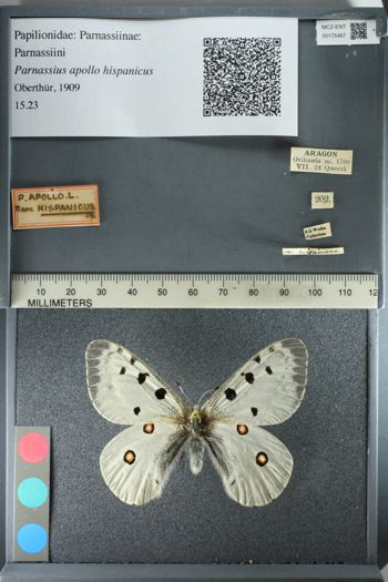 Media type: image;   Entomology 175467